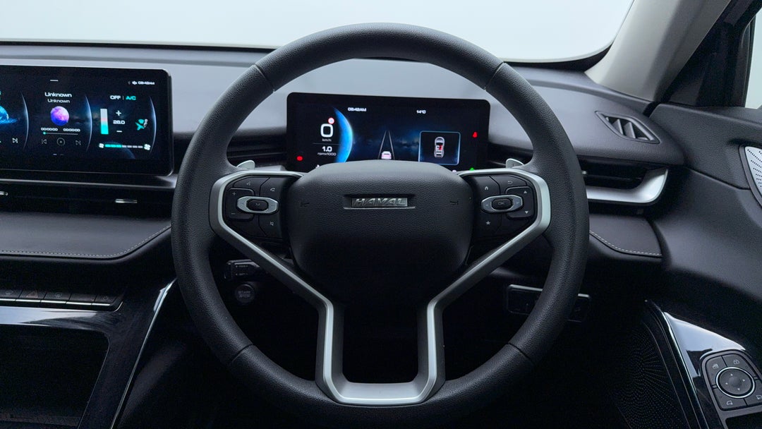 Steering Wheel Close-up