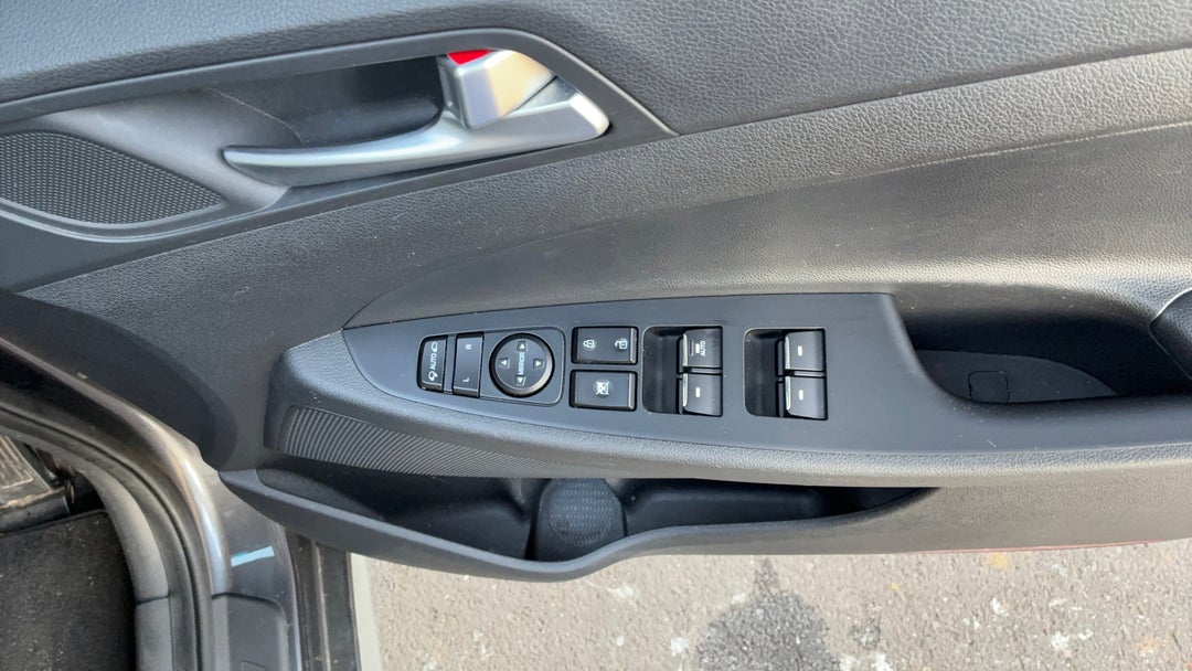 Drivers Side Door Panel Controls