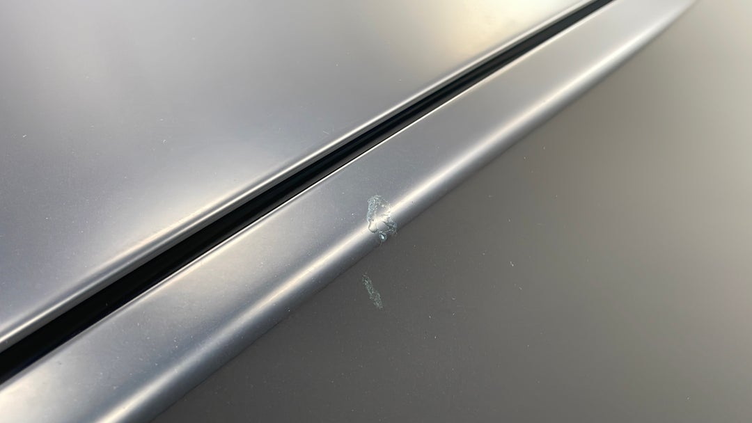 Quarter Panel Front LHS Guard Chip