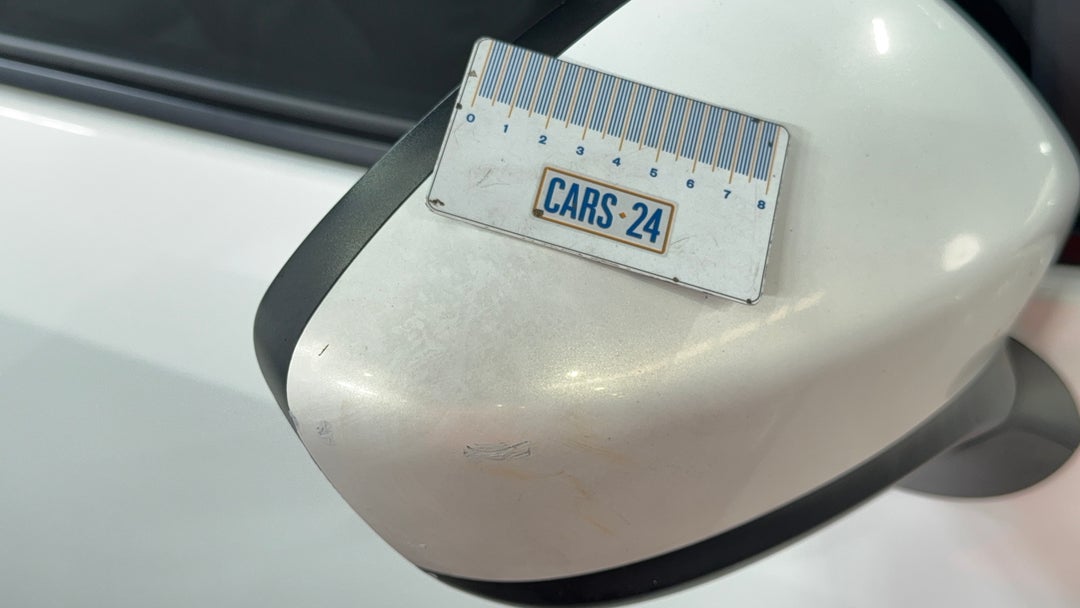 Side Mirrors Housing RHS Paint blemish