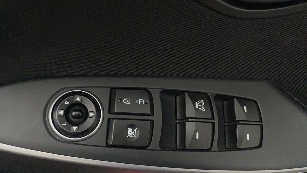 Drivers Side Door Panel Controls