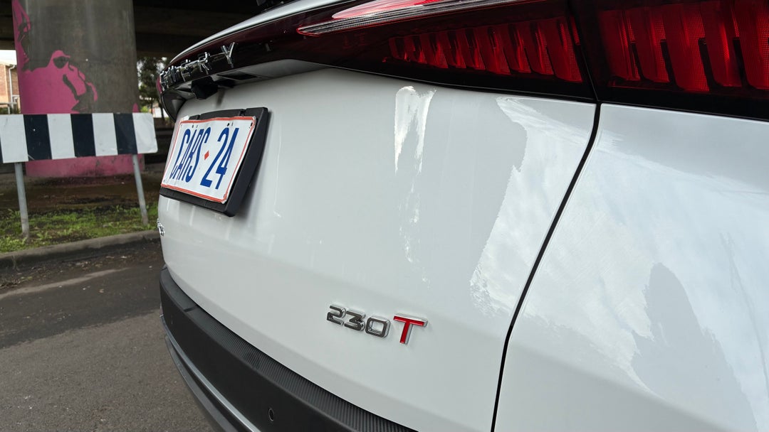 Badge (Boot Left Side)