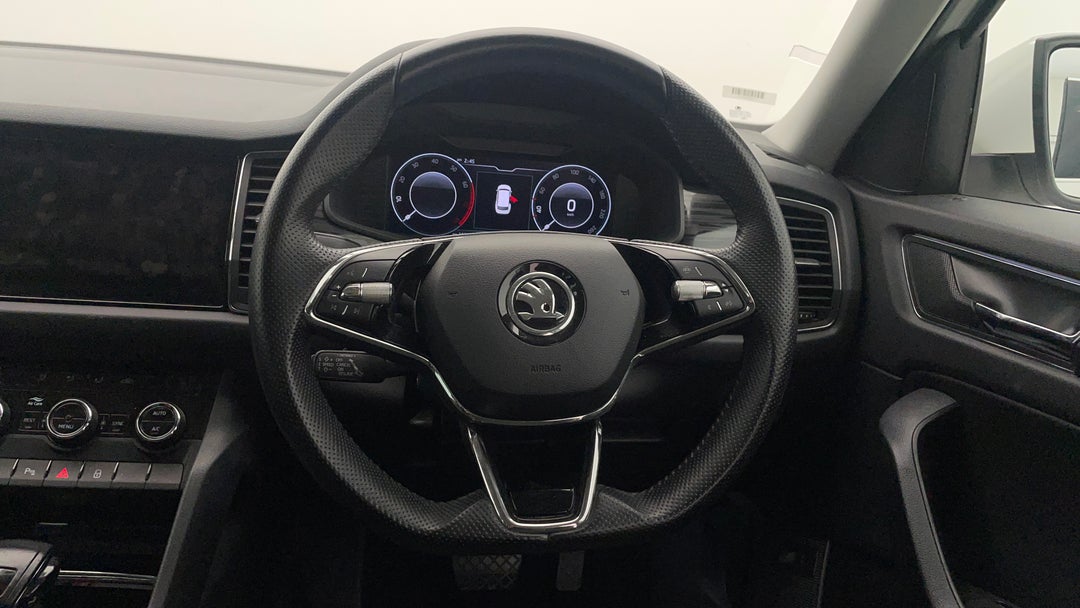 Steering Wheel Close-up