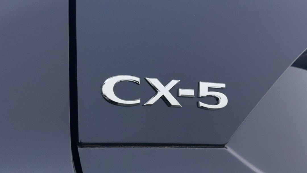 Badge (Boot Left Side)