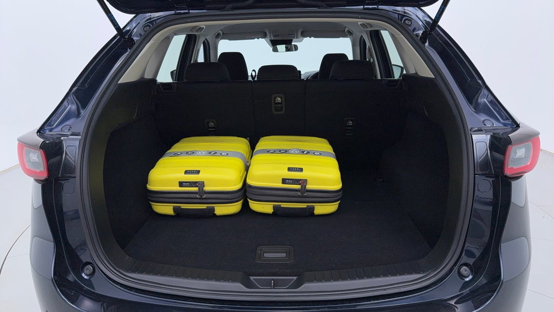 Boot Inside View with Luggage
