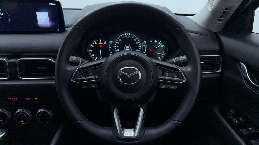 Steering Wheel Close-up