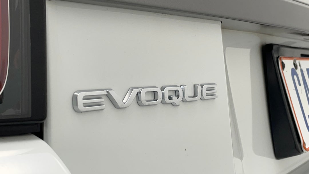 Badge (Boot Left Side)