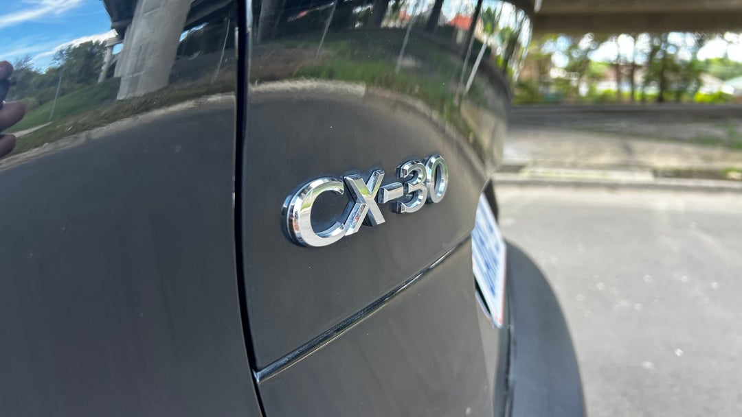 Badge (Boot Left Side)