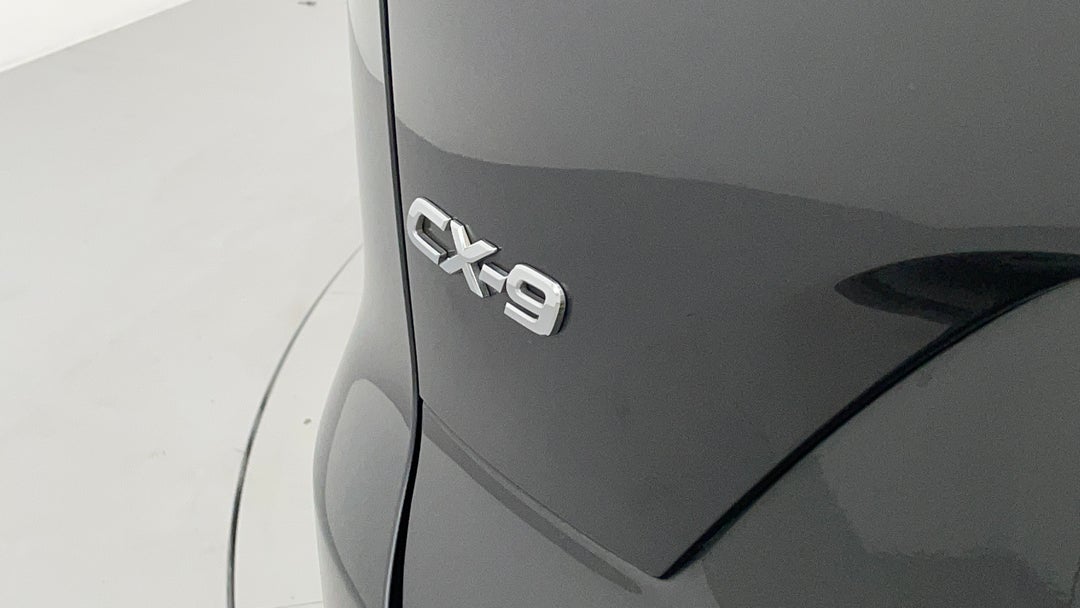 Badge (Boot Left Side)