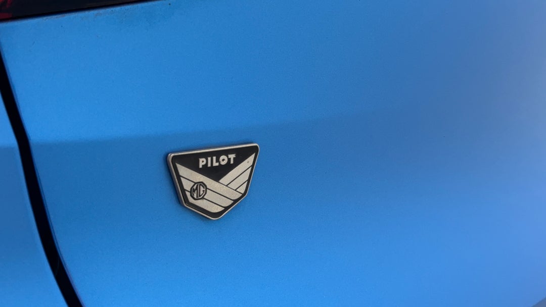 Badge (Boot Left Side)