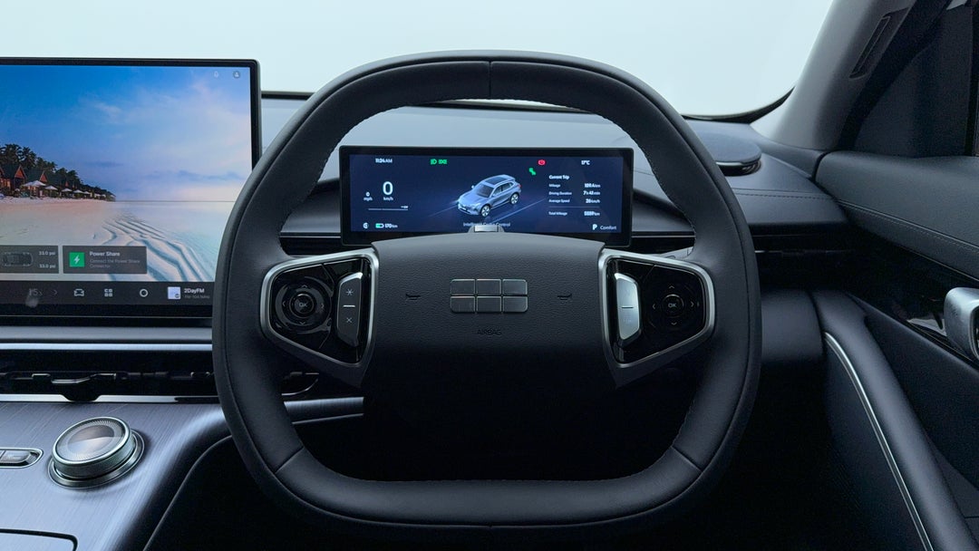 Steering Wheel Close-up