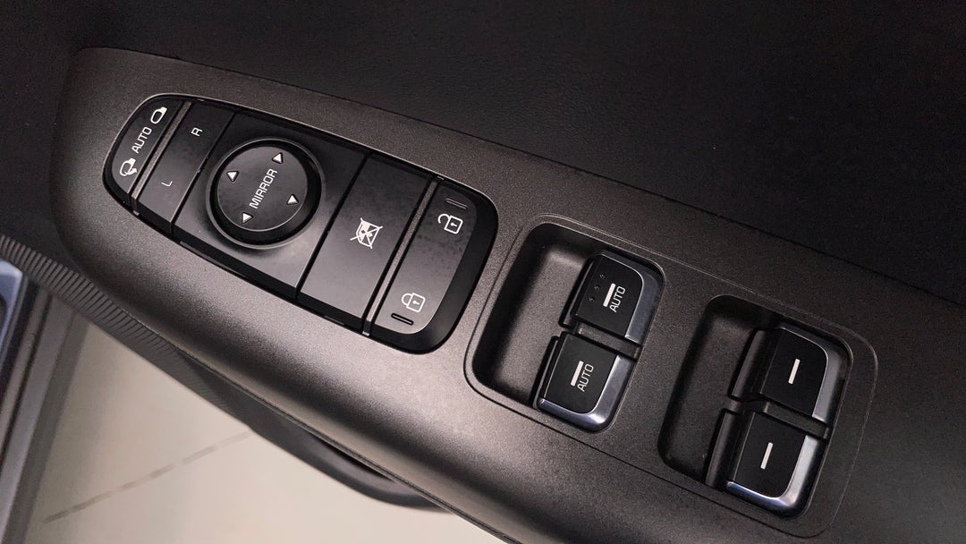 Drivers Side Door Panel Controls