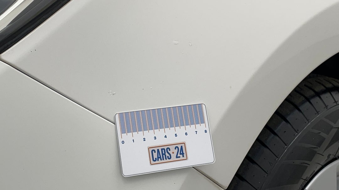 Quarter Panel Front LHS Guard Chip