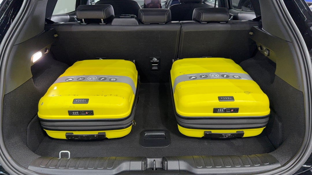 Boot Inside View with Luggage