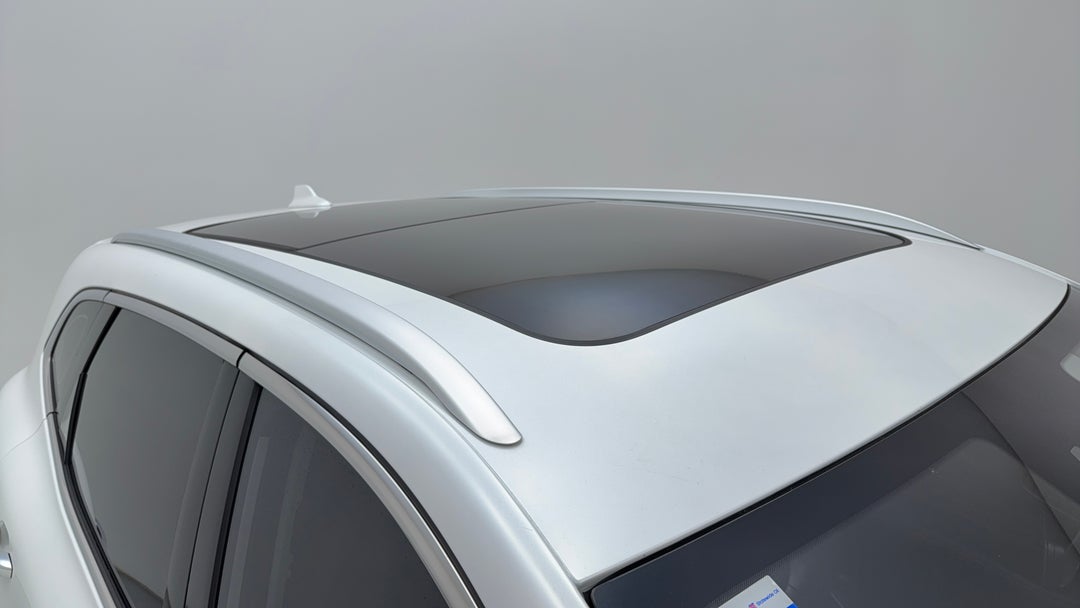 Roof/Sunroof View