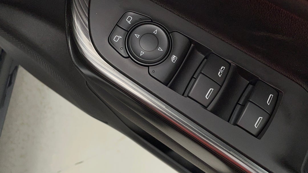 Drivers Side Door Panel Controls