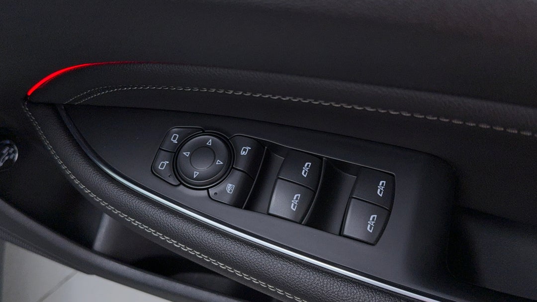 Drivers Side Door Panel Controls