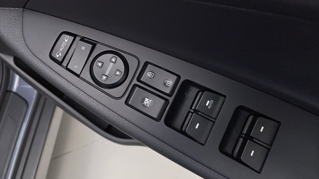Drivers Side Door Panel Controls
