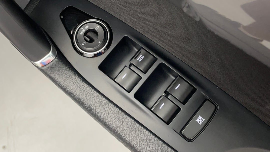 Drivers Side Door Panel Controls