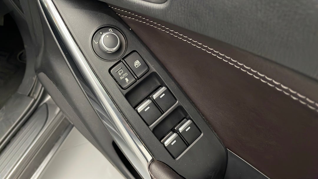 Drivers Side Door Panel Controls
