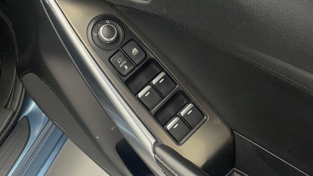 Drivers Side Door Panel Controls