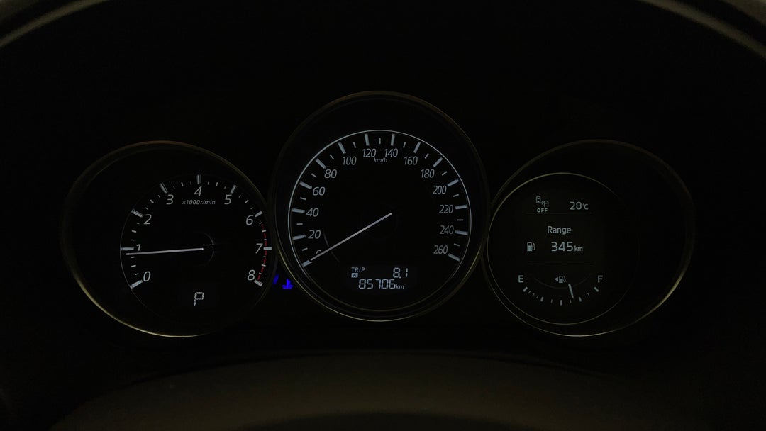 Odometer View