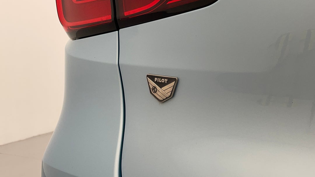 Badge (Boot Left Side)