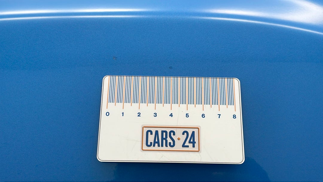 Quarter Panel Front LHS Guard Chip