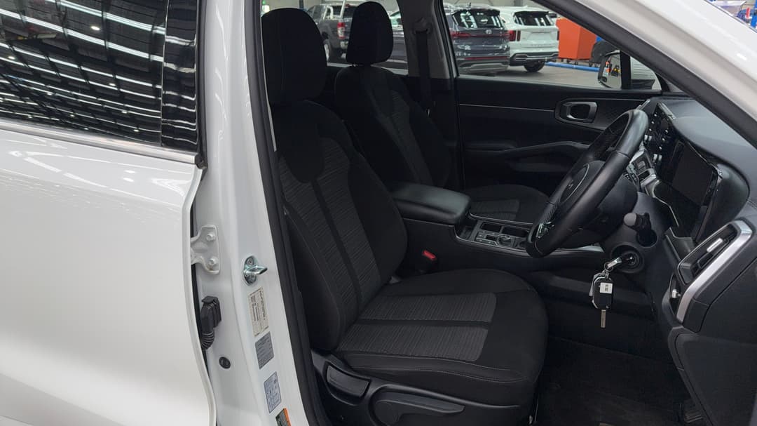Drivers Side Door Panel Controls
