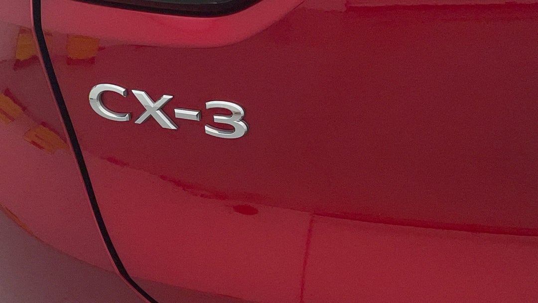 Badge (Boot Left Side)