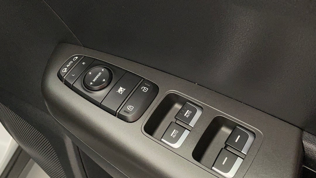 Drivers Side Door Panel Controls