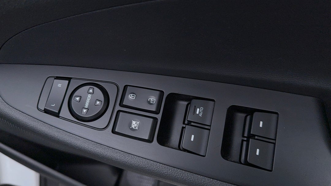 Drivers Side Door Panel Controls
