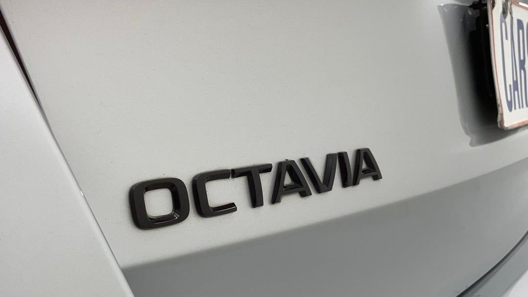 Badge (Boot Left Side)