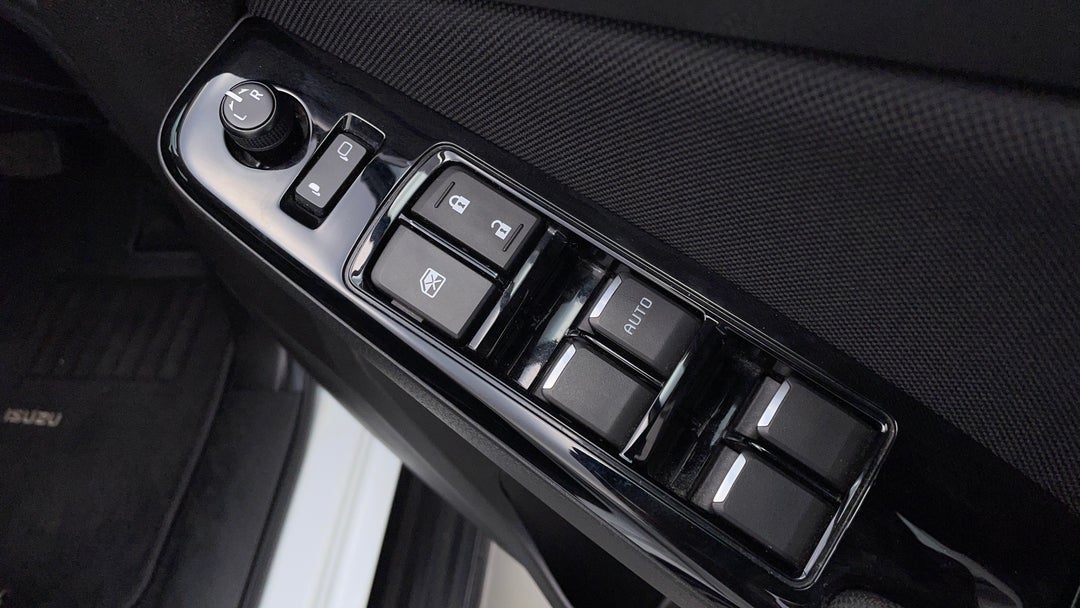 Drivers Side Door Panel Controls