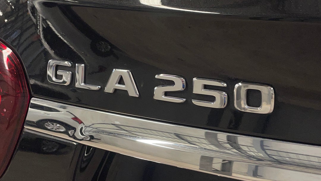 Badge (Boot Left Side)