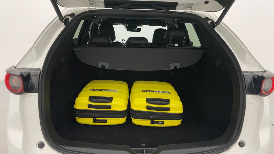 Boot Inside View with Luggage