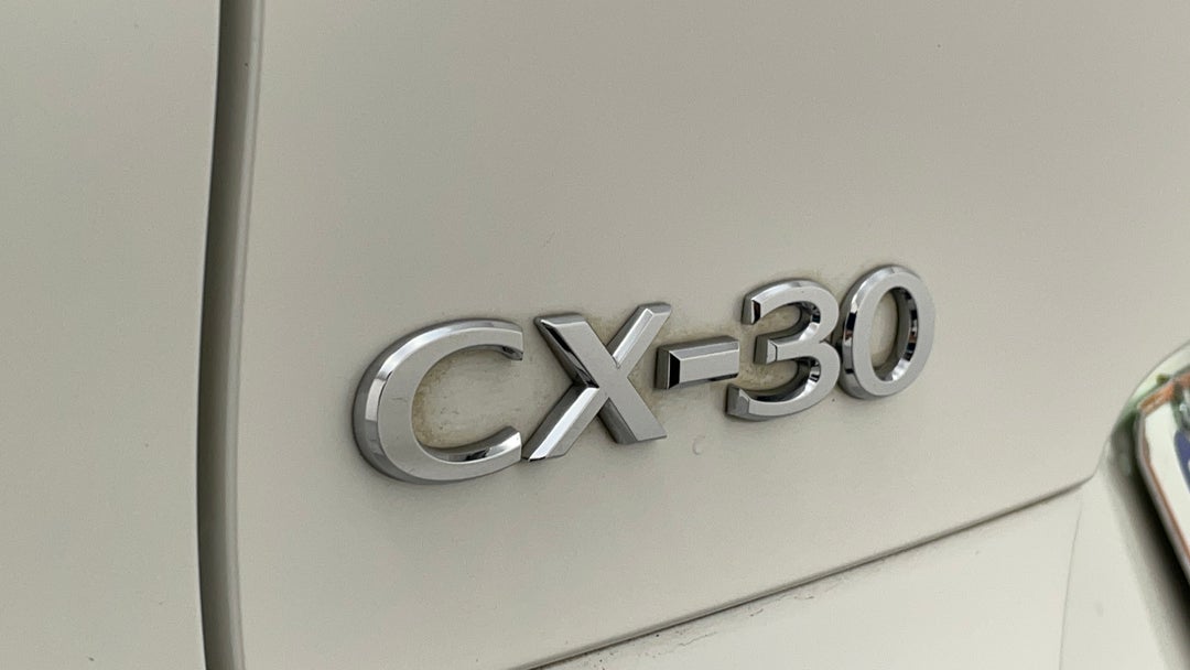 Badge (Boot Left Side)