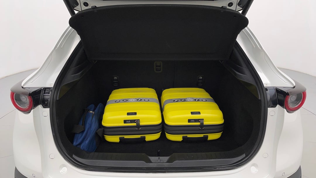 Boot Inside View with Luggage