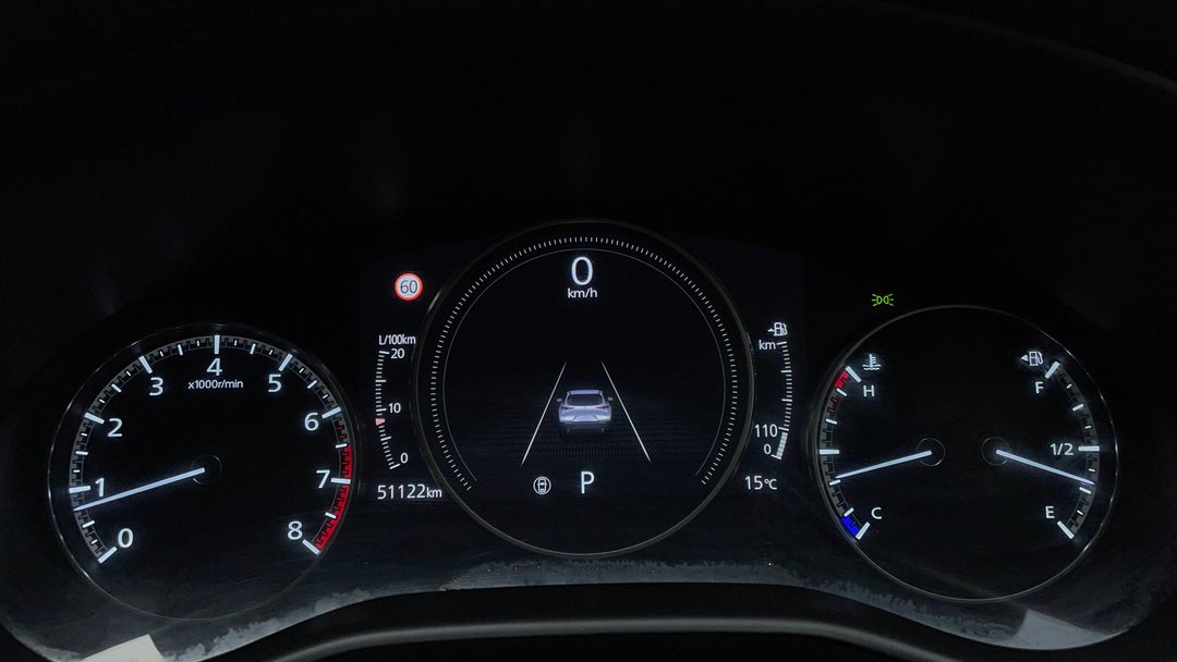 Odometer View