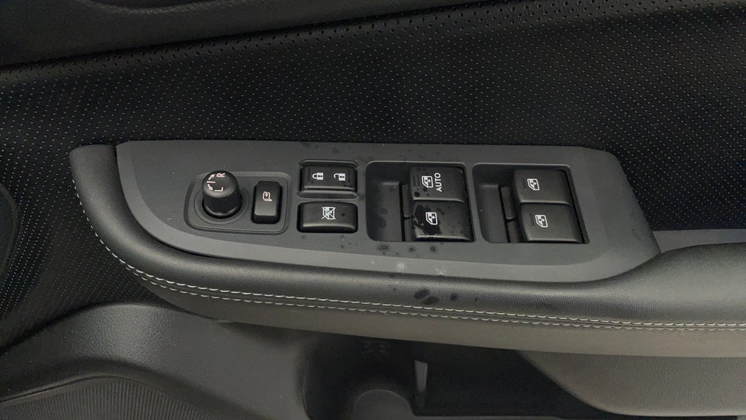 Drivers Side Door Panel Controls