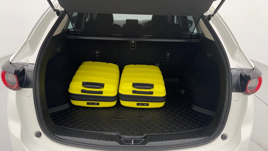 Boot Inside View with Luggage