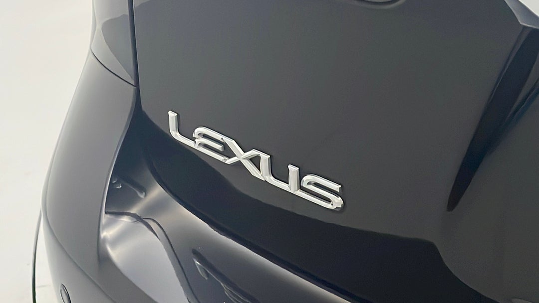 Badge (Boot Left Side)