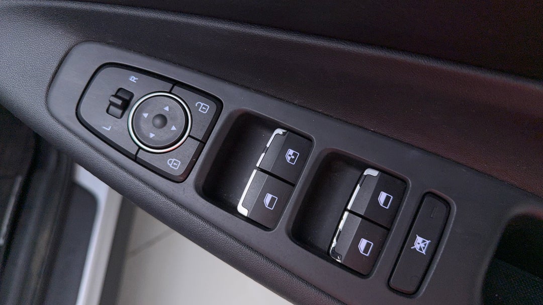 Drivers Side Door Panel Controls