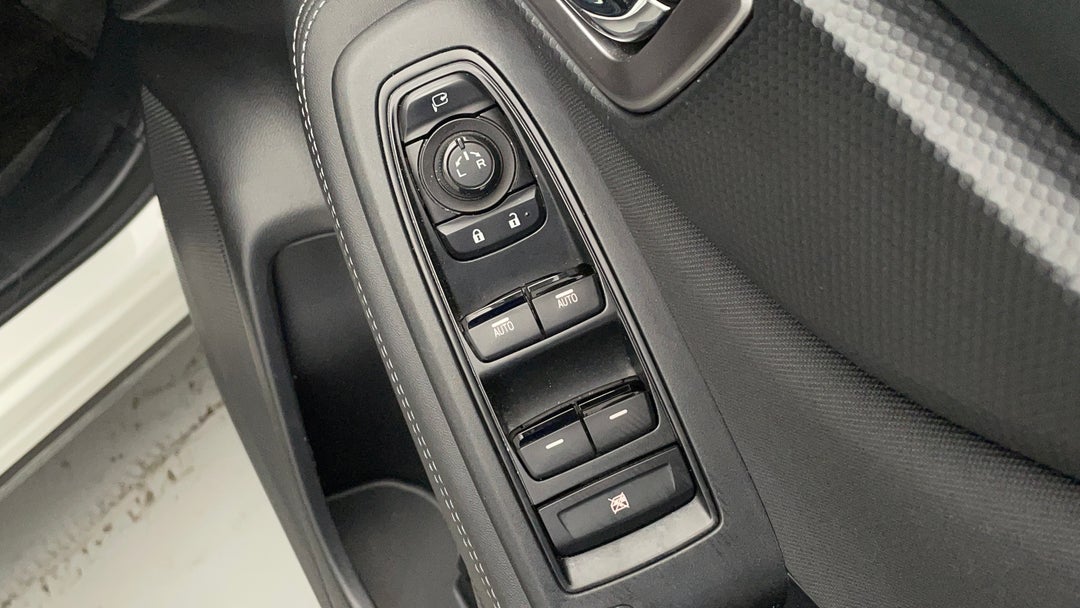 Drivers Side Door Panel Controls