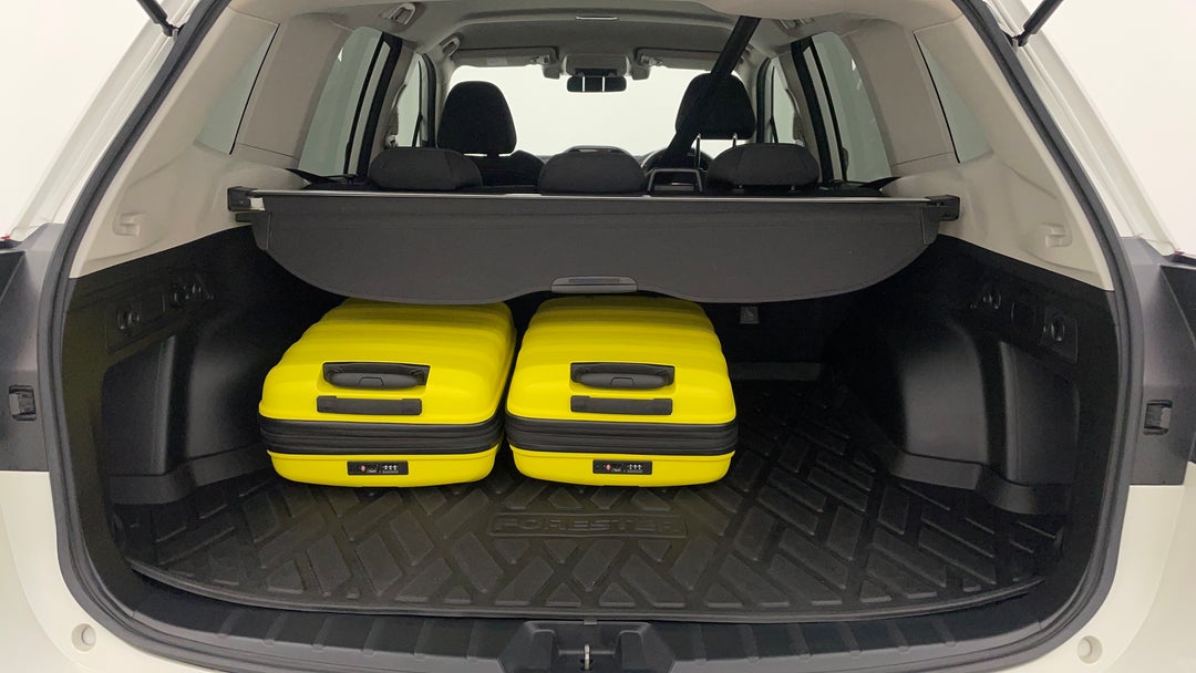Boot Inside View with Luggage