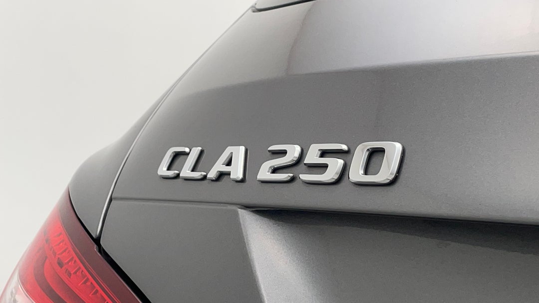 Badge (Boot Left Side)