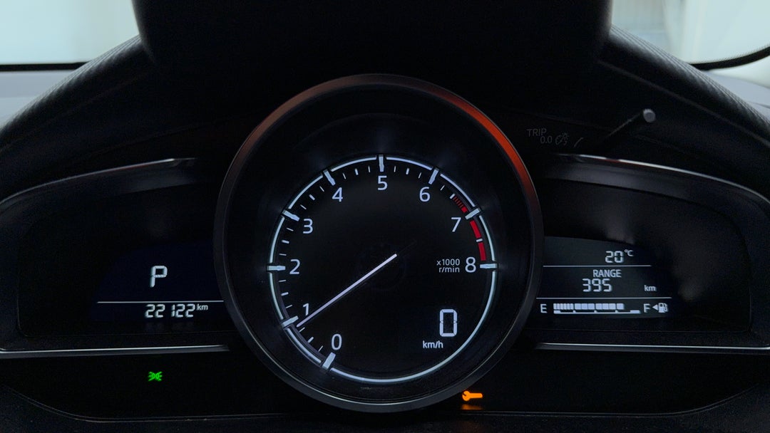 Odometer View