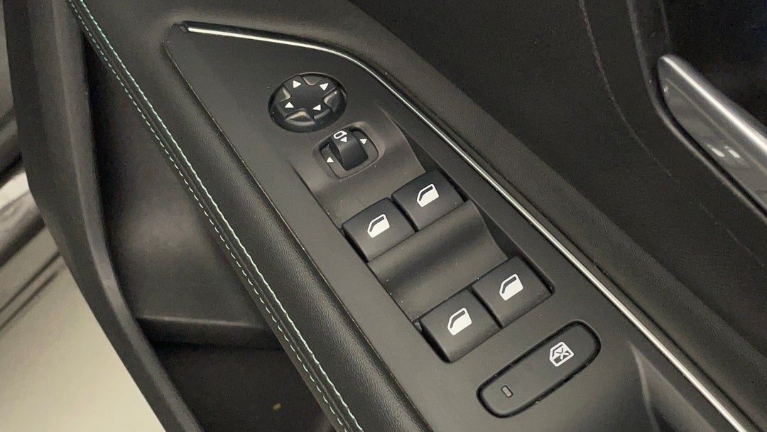 Drivers Side Door Panel Controls