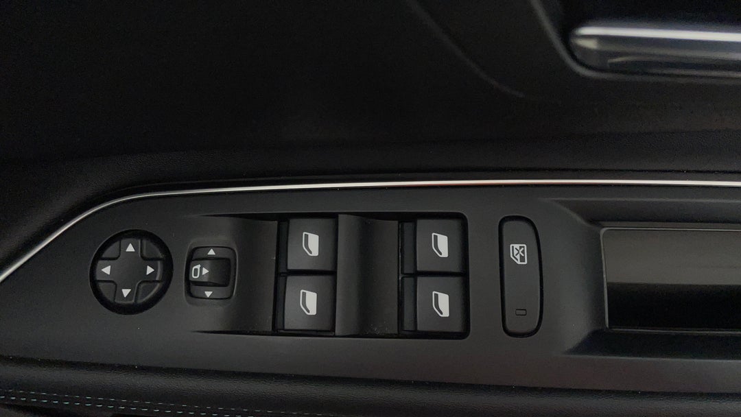Drivers Side Door Panel Controls