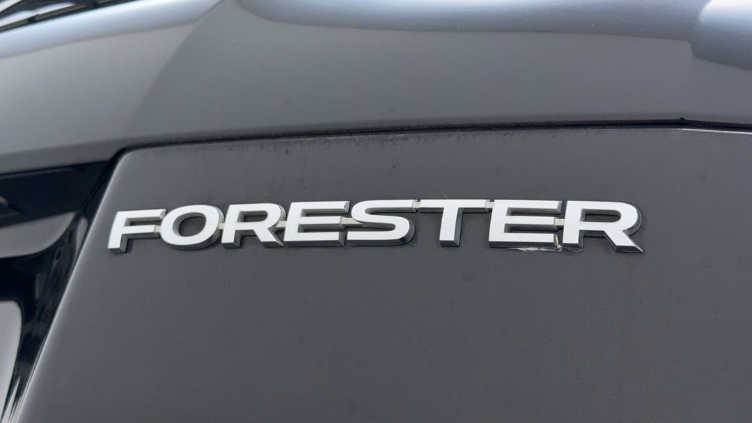 Badge (Boot Right Side)